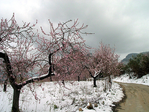 ¿Cómo proteger los toldos en invierno?